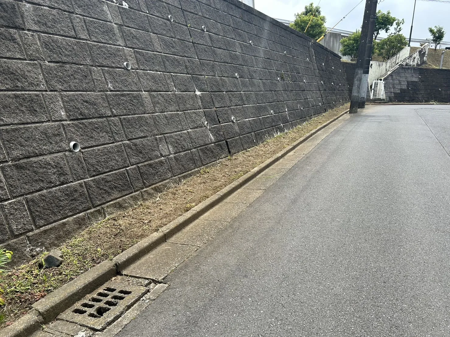 植栽手入れ・草刈り・清掃作業の施工写真 4