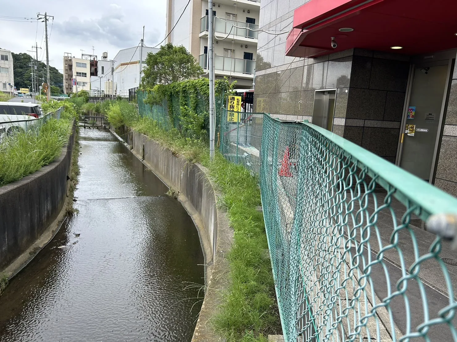 植栽手入れ・草刈り・清掃作業の施工写真 1