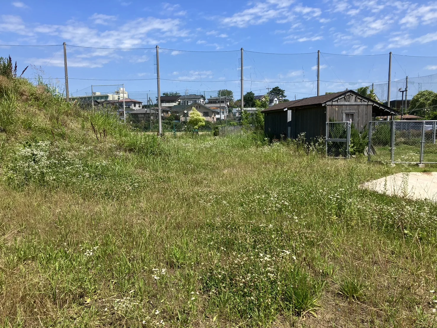 柏市｜店舗敷地・草刈り作業の施工写真 3