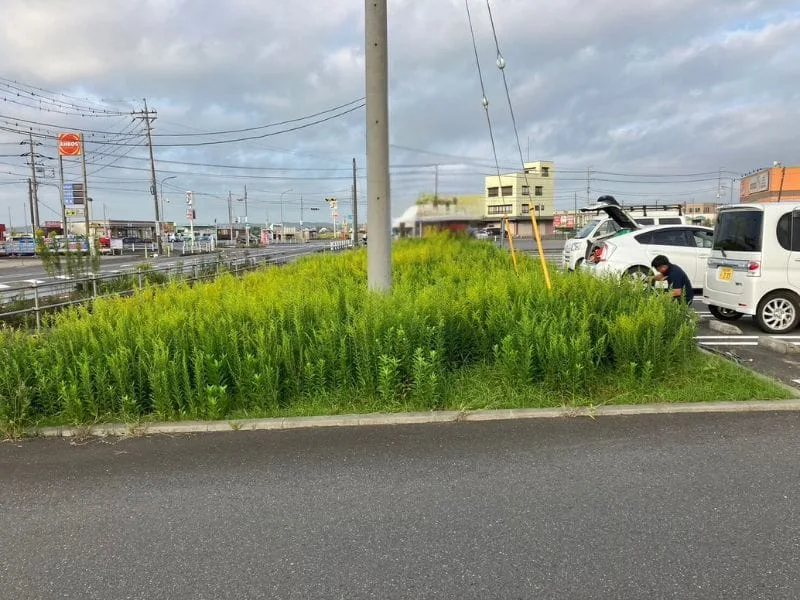 旭市｜店舗敷地・草刈り作業の施工写真 1