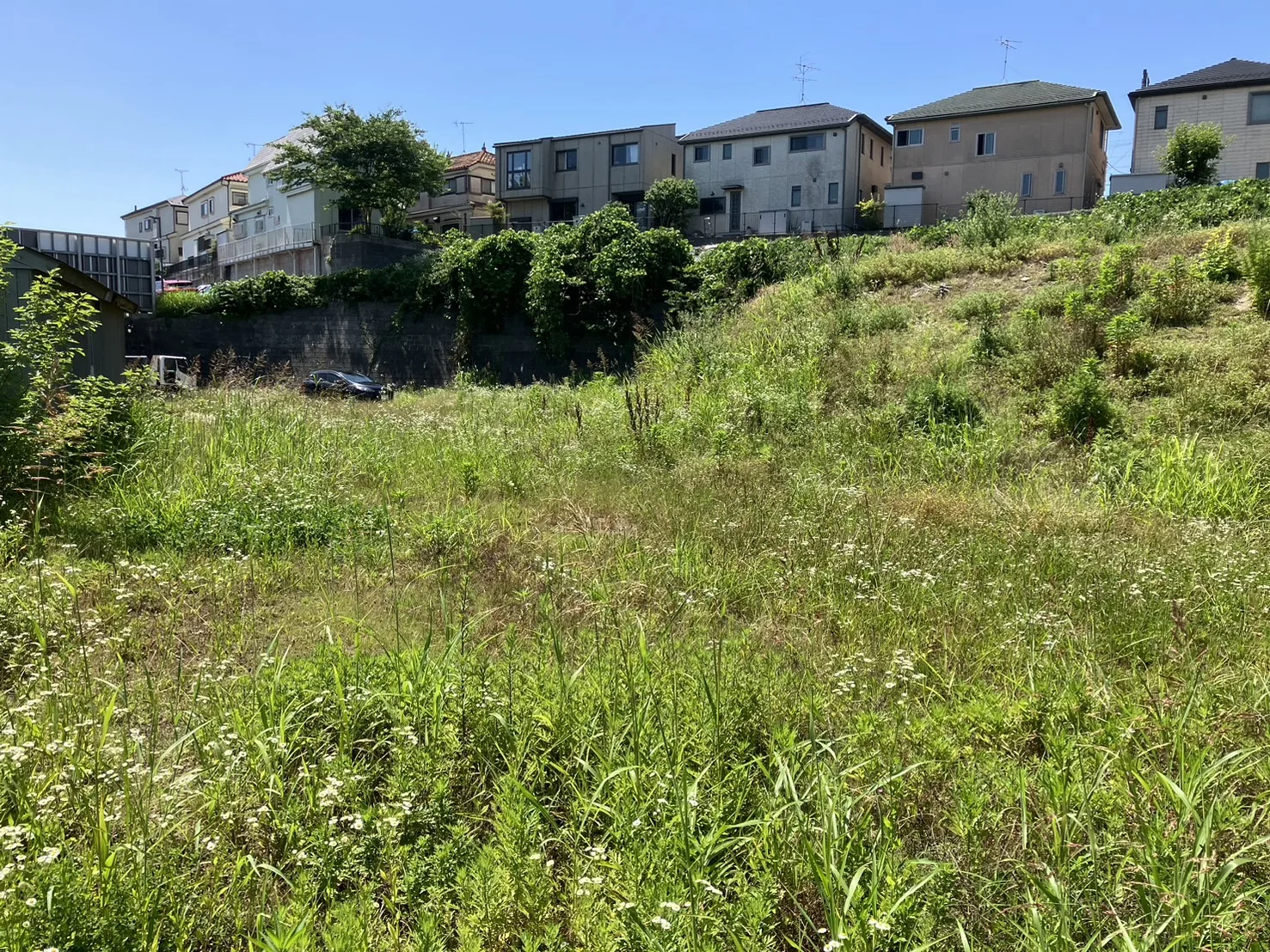 柏市｜店舗敷地・草刈り作業の施工写真 1
