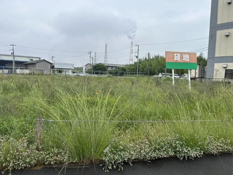 伐採・除草作業の施工写真 1