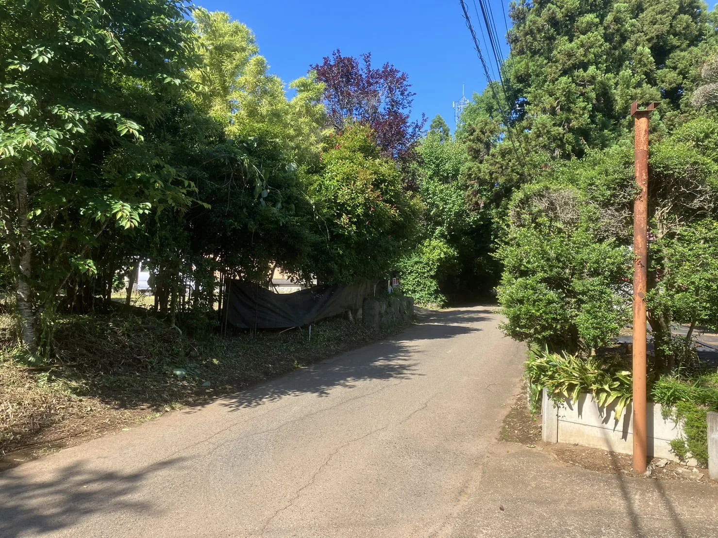 印西市｜伐採の施工写真 5