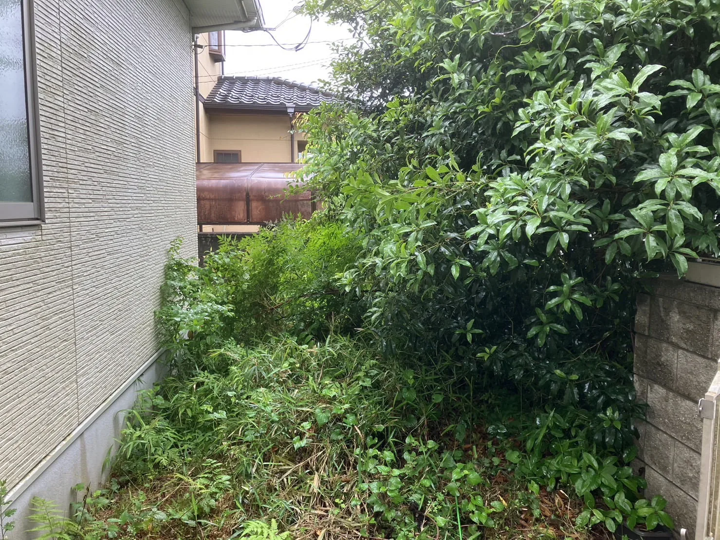 富里市｜草刈り・伐採の施工写真 1