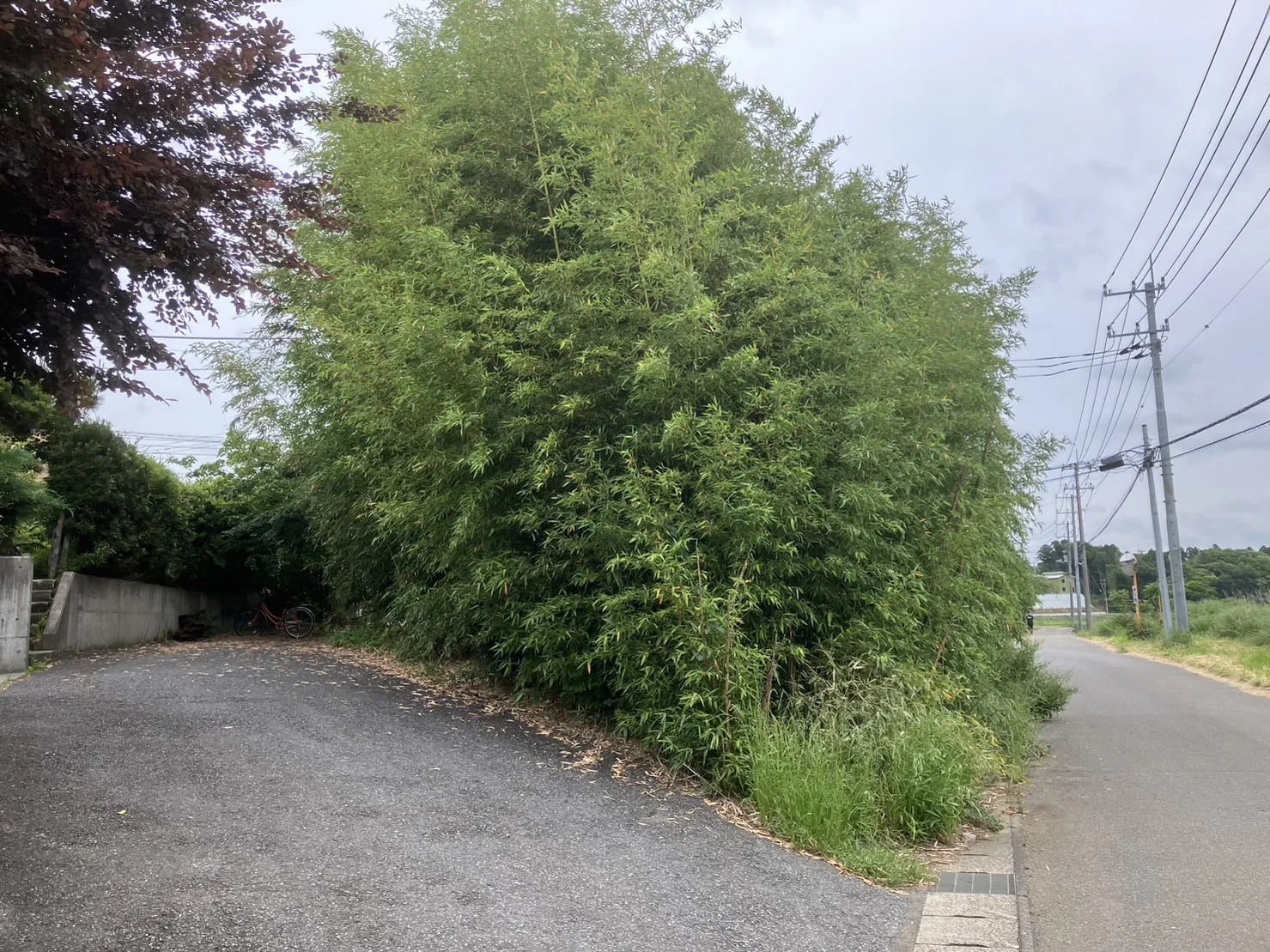 印西市｜草刈り・伐採・防草シートの施工写真 5
