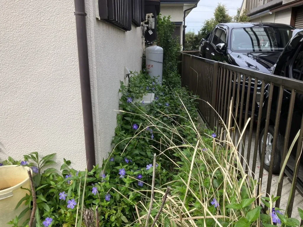 つくば市｜草刈りの施工写真 1