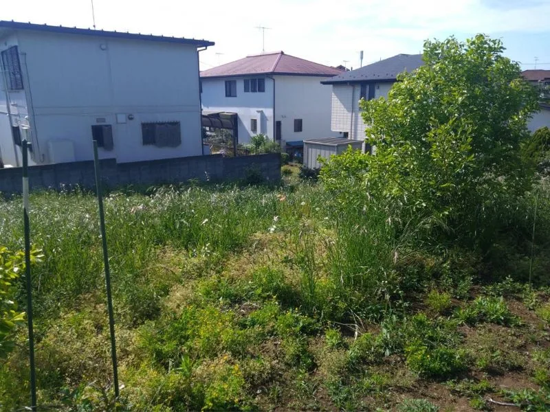 守谷市｜草刈り・伐採の施工写真 1