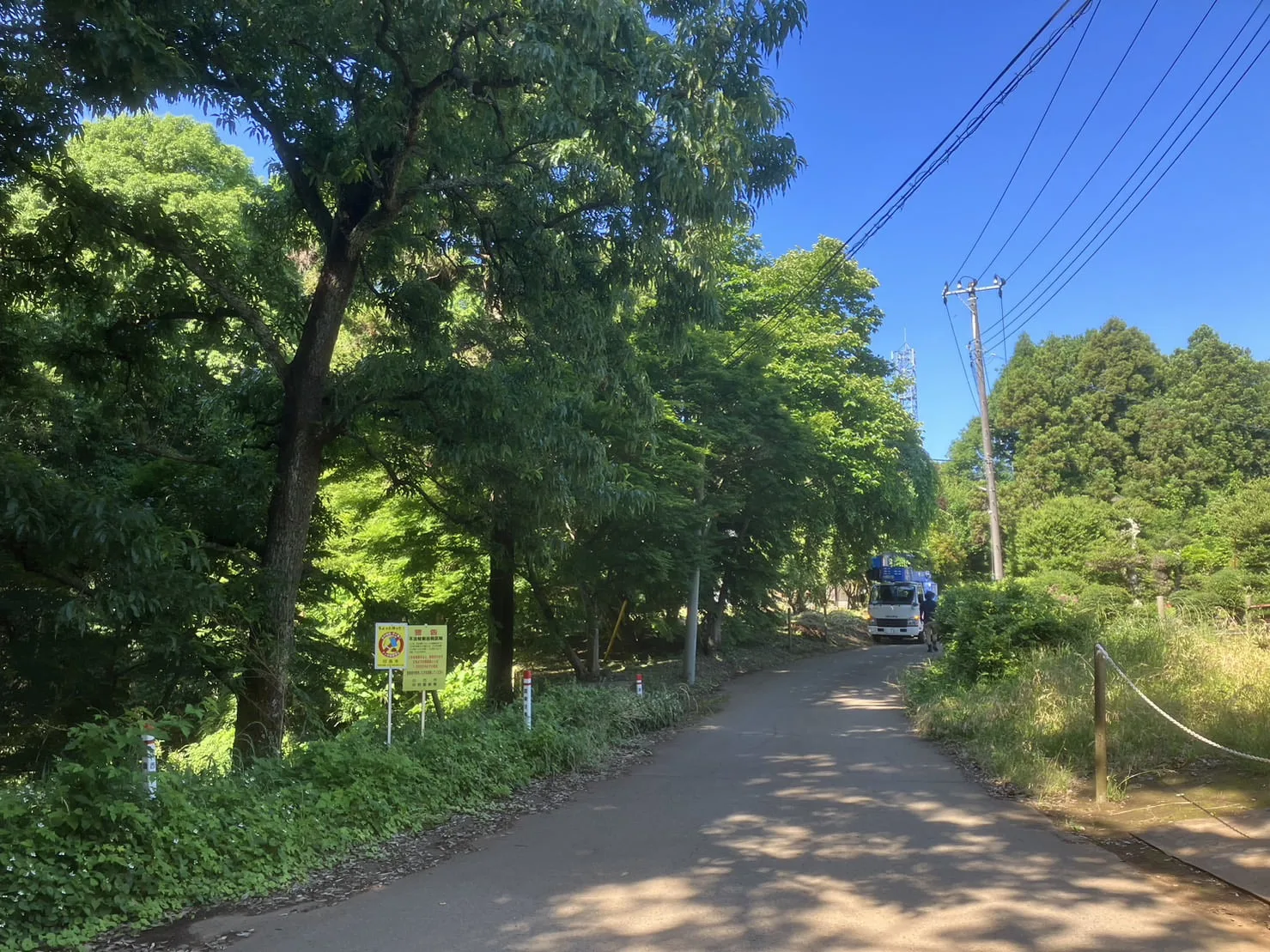 印西市｜伐採の施工写真 7