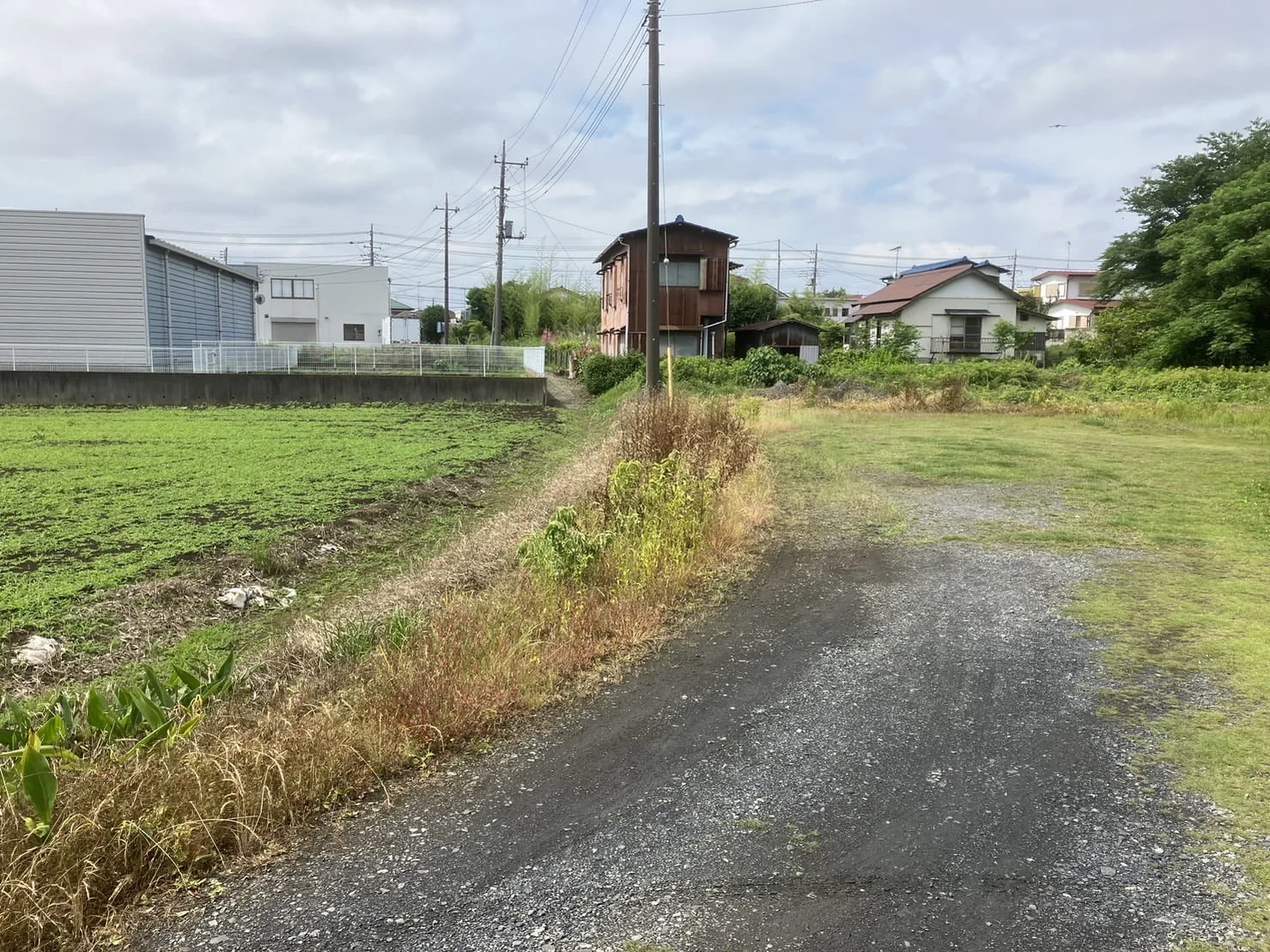 坂東市｜草刈りの施工写真 5
