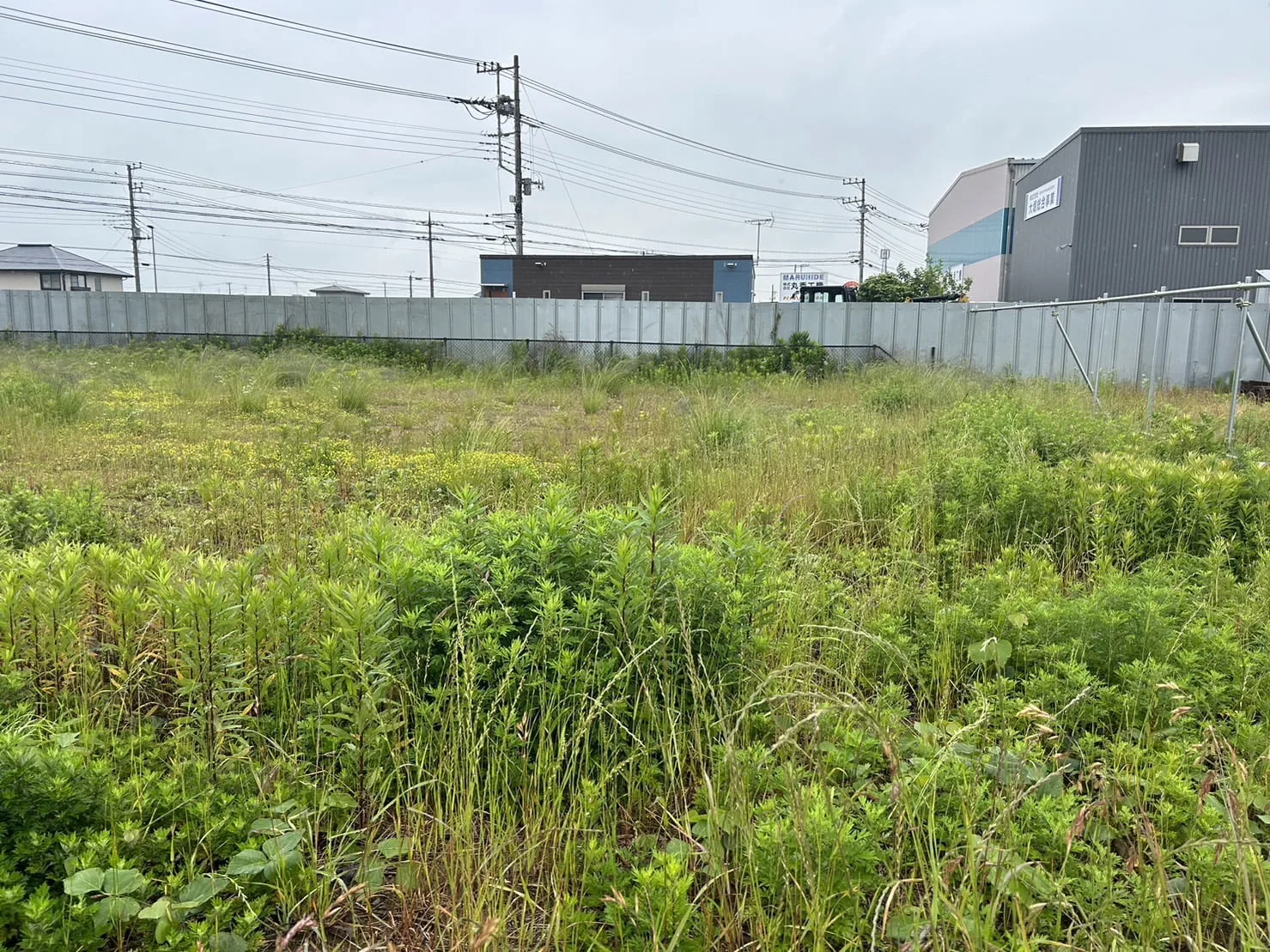 成田市｜草刈りの施工写真 5