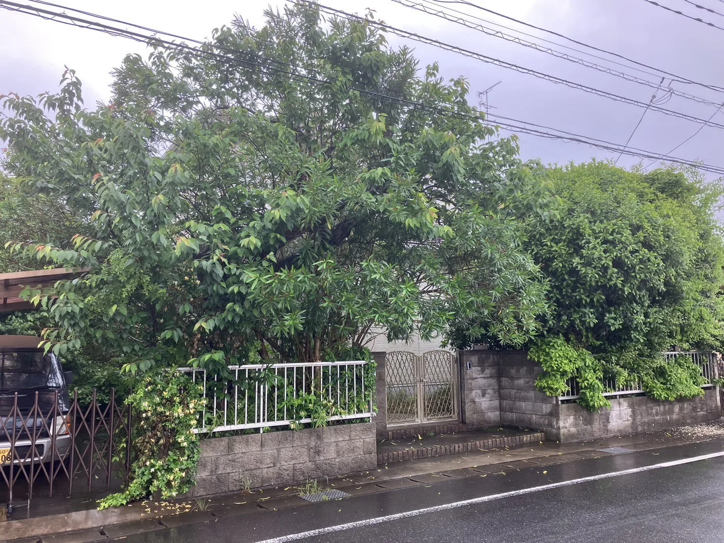 富里市｜草刈り・伐採の施工写真 5