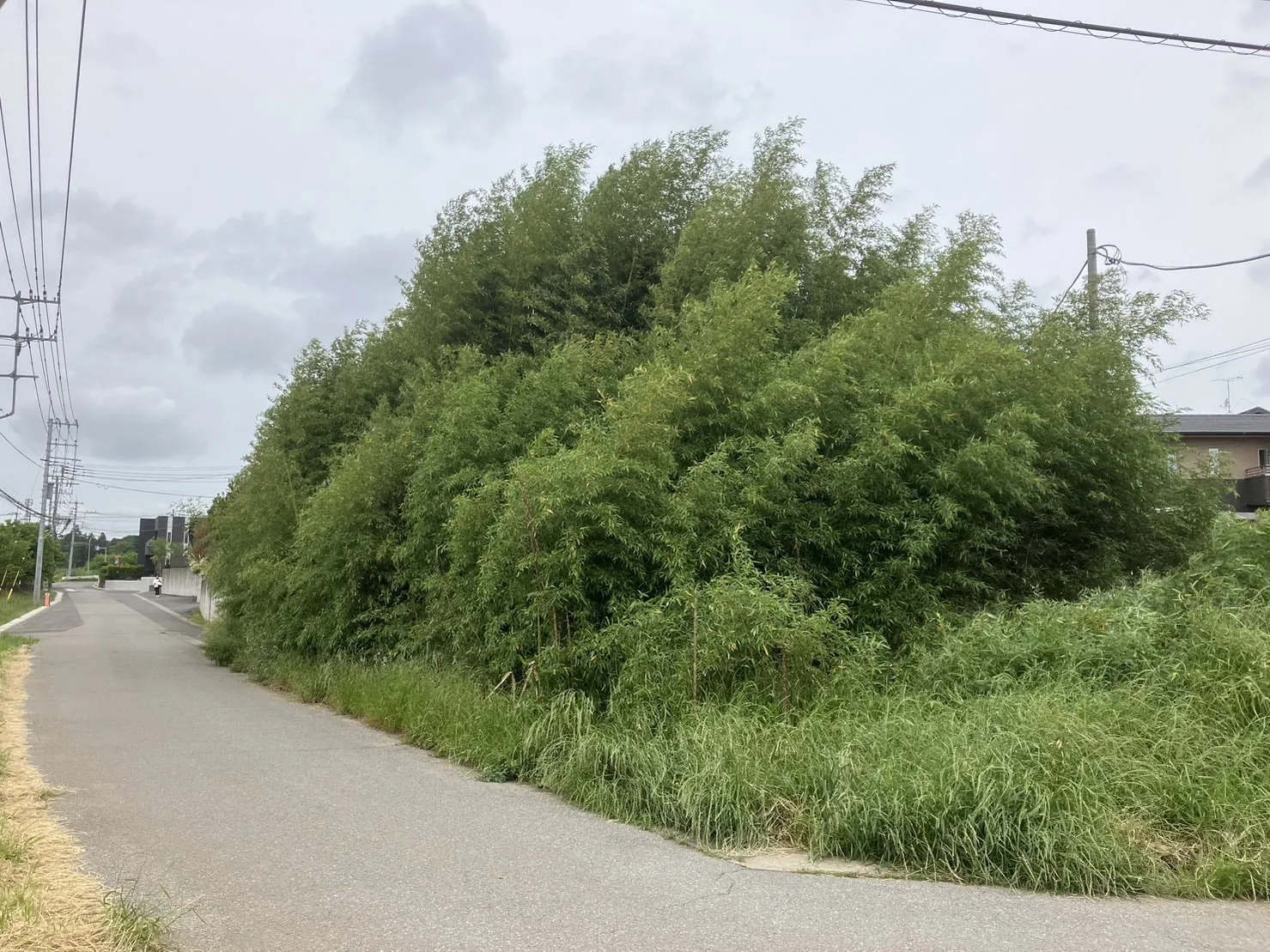 印西市｜草刈り・伐採・防草シートの施工写真 1