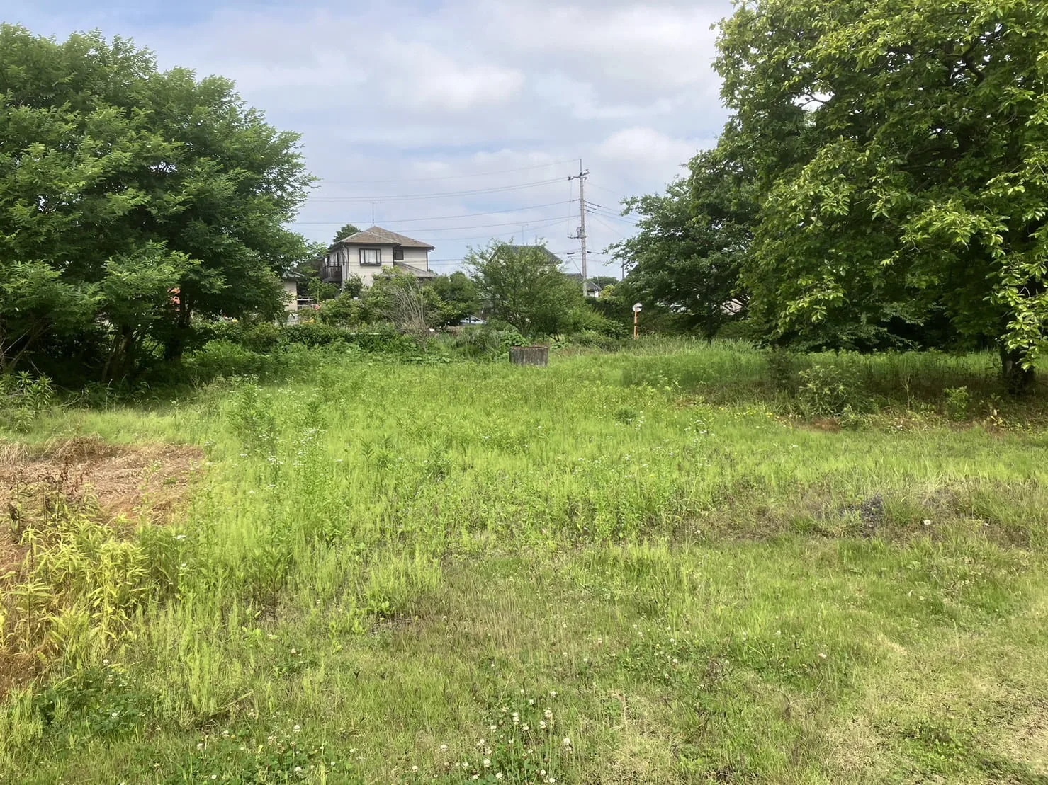 坂東市｜草刈りの施工写真 1