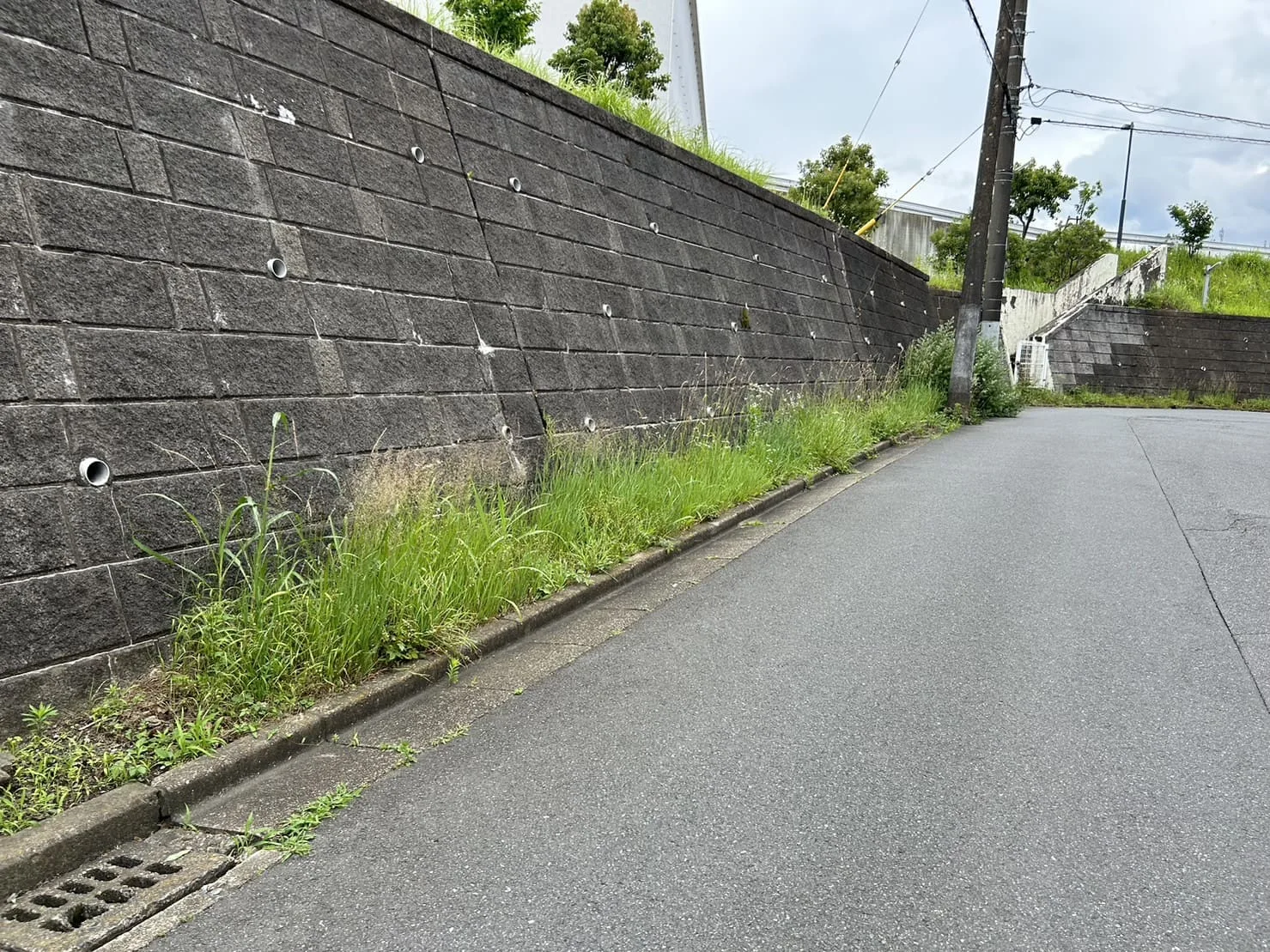植栽手入れ・草刈り・清掃作業の施工写真 3